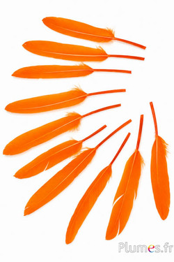 Gans - 10-15 cm - oranje